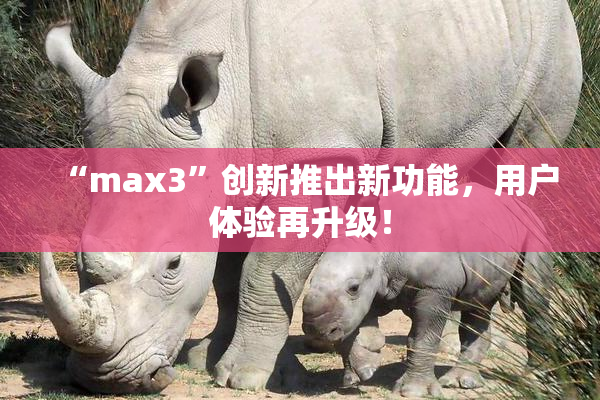 “max3”创新推出新功能，用户体验再升级！