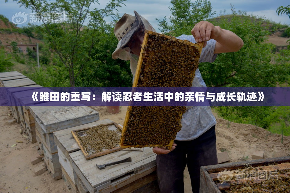 《雏田的重写：解读忍者生活中的亲情与成长轨迹》