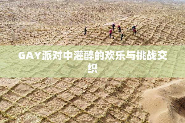 GAY派对中灌醉的欢乐与挑战交织