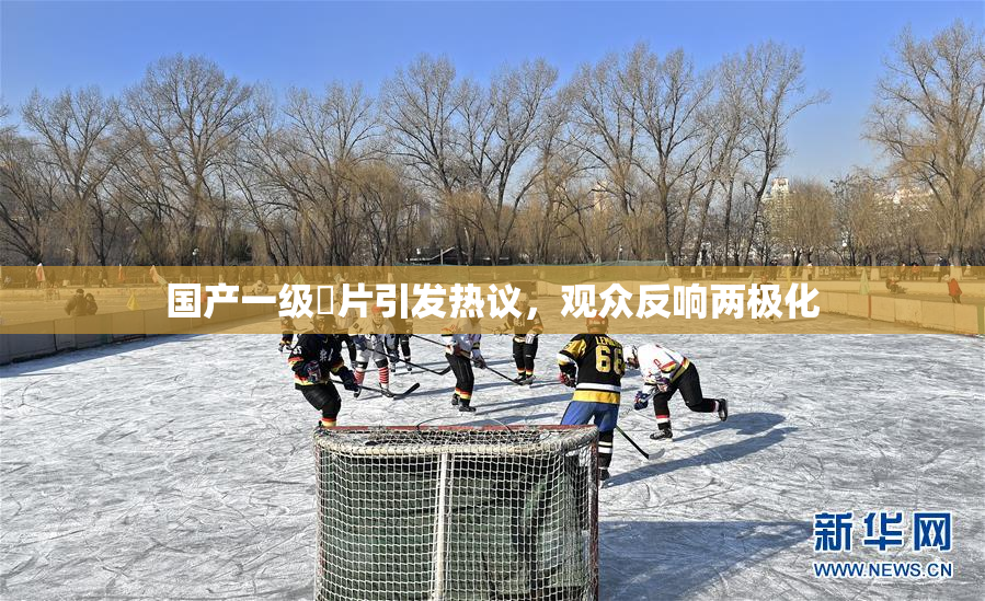 国产一级婬片引发热议，观众反响两极化