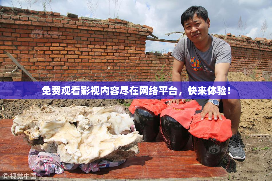 免费观看影视内容尽在网络平台，快来体验！