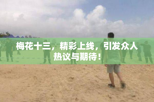 梅花十三，精彩上线，引发众人热议与期待！