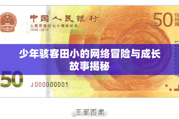 少年骇客田小的网络冒险与成长故事揭秘