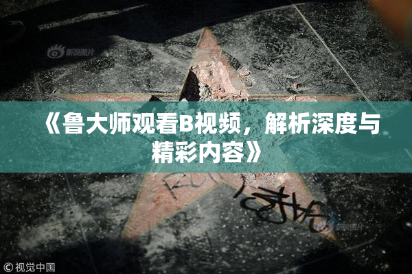 《鲁大师观看B视频，解析深度与精彩内容》