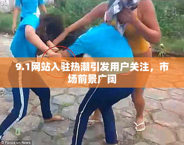 9.1网站入驻热潮引发用户关注，市场前景广阔