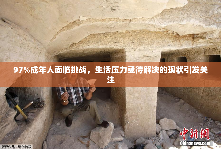 97%成年人面临挑战，生活压力亟待解决的现状引发关注