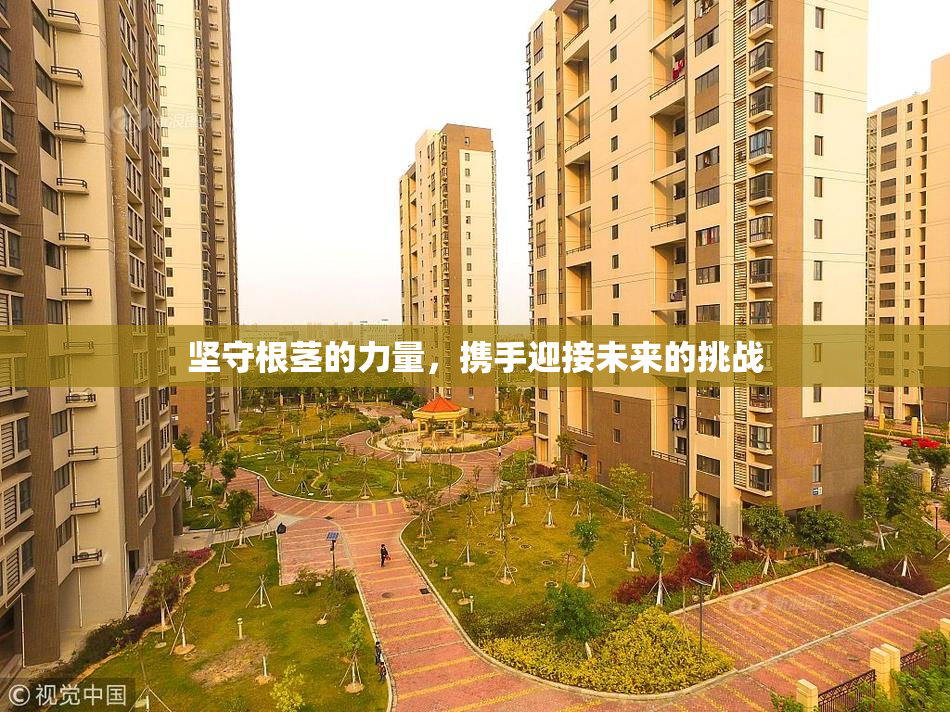 坚守根茎的力量，携手迎接未来的挑战