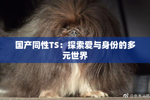 国产同性TS：探索爱与身份的多元世界