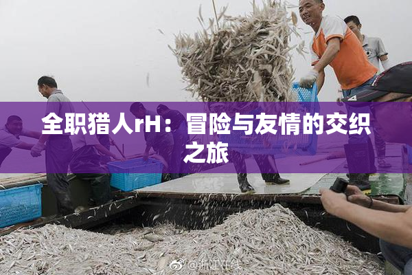 全职猎人rH：冒险与友情的交织之旅