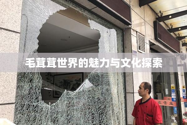 毛茸茸世界的魅力与文化探索