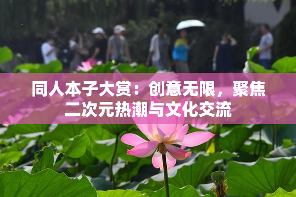同人本子大赏：创意无限，聚焦二次元热潮与文化交流