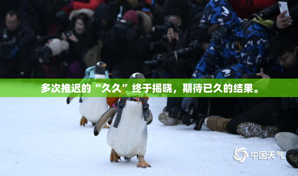 多次推迟的“久久”终于揭晓，期待已久的结果。