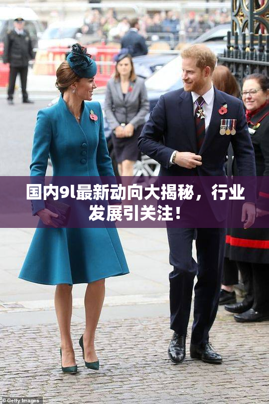 国内9l最新动向大揭秘，行业发展引关注！