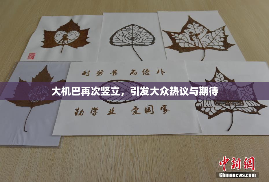 大机巴再次竖立，引发大众热议与期待