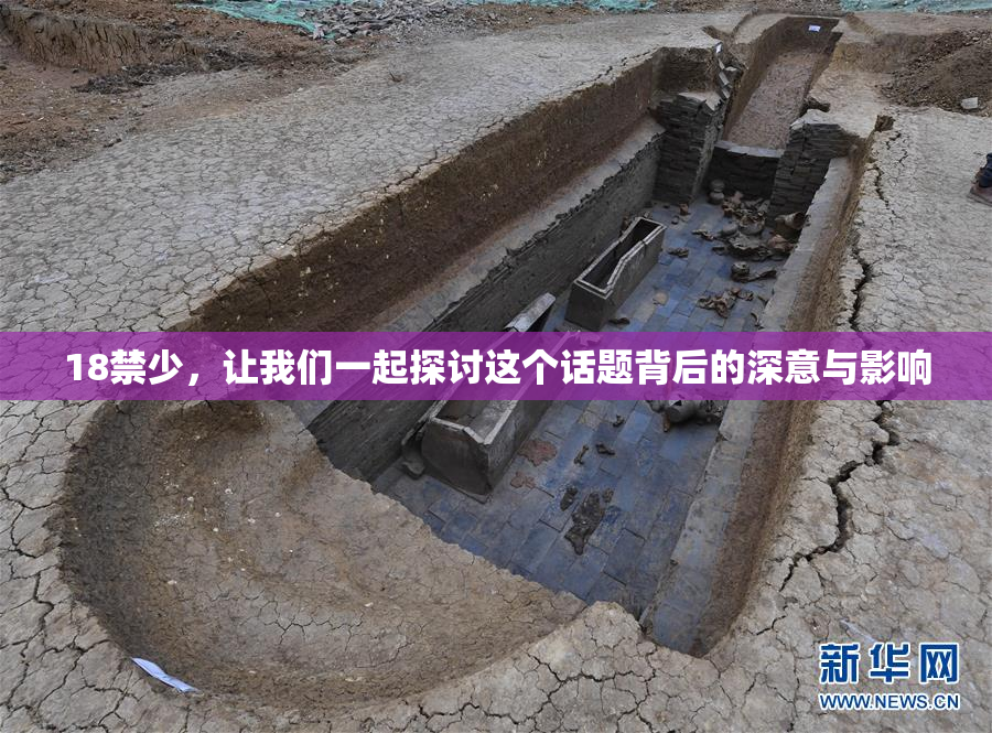 18禁少，让我们一起探讨这个话题背后的深意与影响