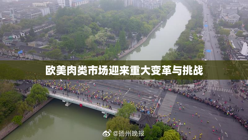 欧美肉类市场迎来重大变革与挑战