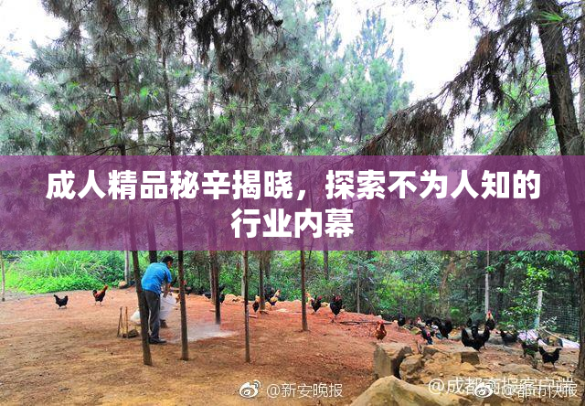 成人精品秘辛揭晓，探索不为人知的行业内幕