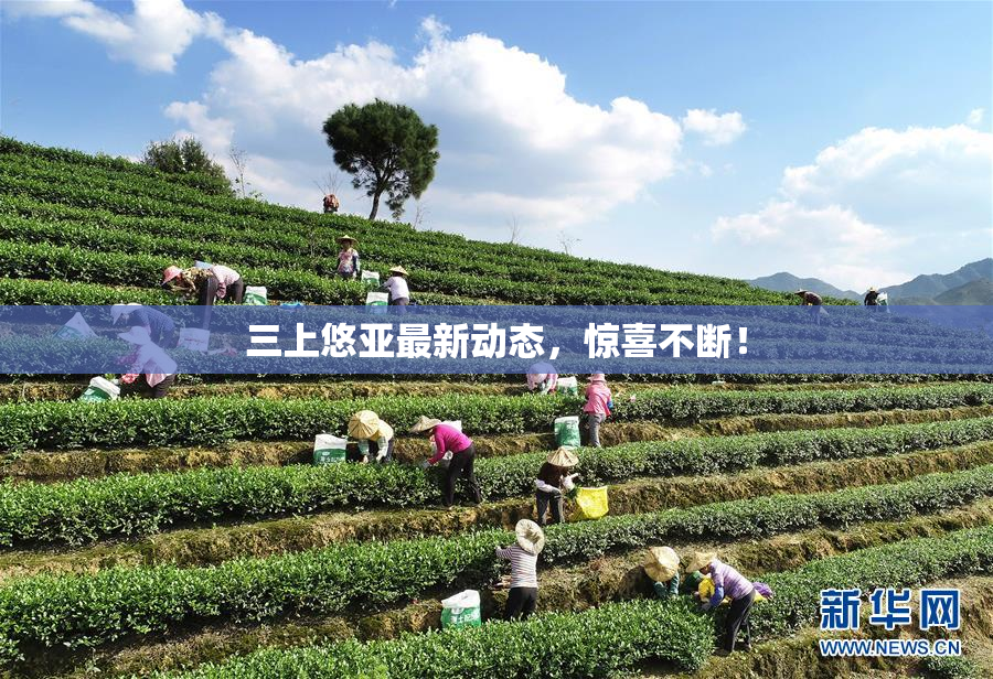 三上悠亚最新动态，惊喜不断！