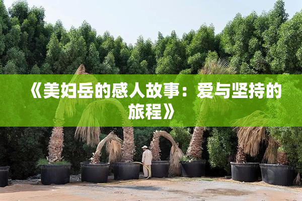 《美妇岳的感人故事：爱与坚持的旅程》