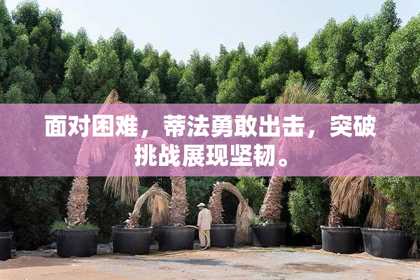 面对困难，蒂法勇敢出击，突破挑战展现坚韧。