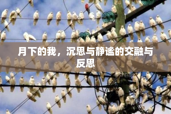 月下的我，沉思与静谧的交融与反思