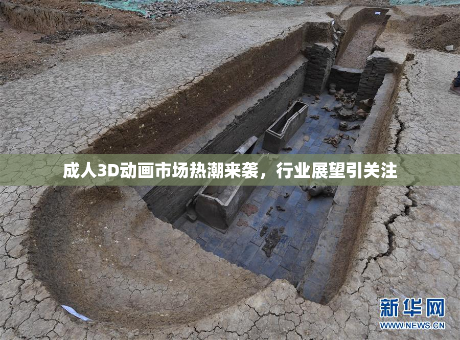 成人3D动画市场热潮来袭，行业展望引关注