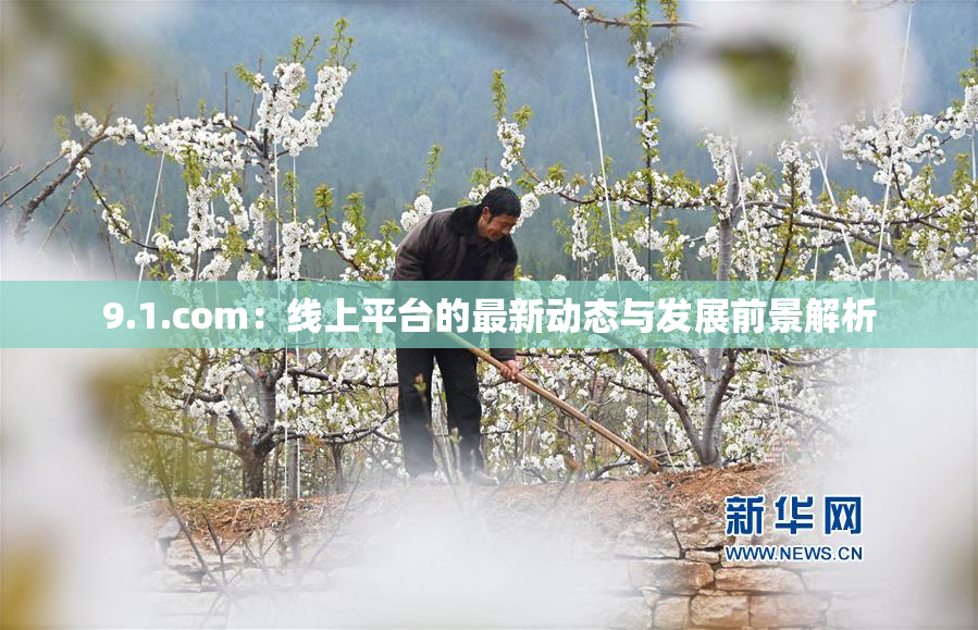 9.1.com：线上平台的最新动态与发展前景解析