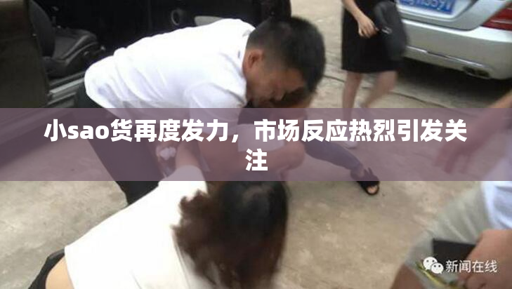 小sao货再度发力，市场反应热烈引发关注