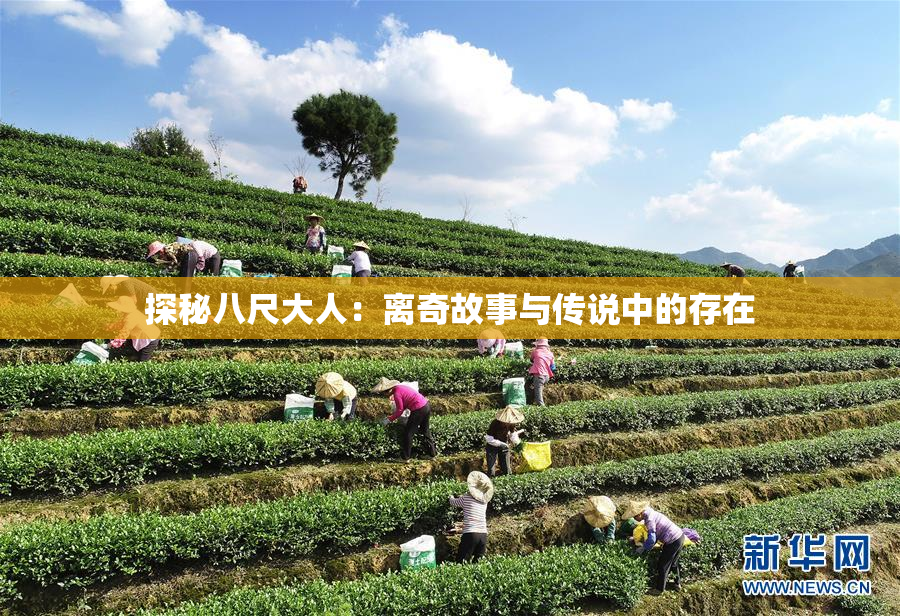探秘八尺大人：离奇故事与传说中的存在