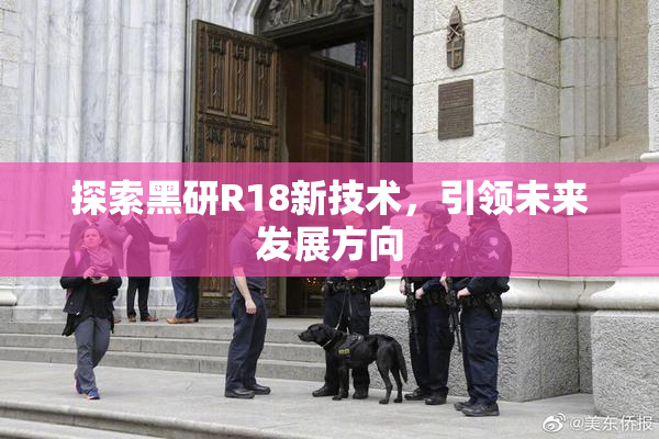 探索黑研R18新技术，引领未来发展方向