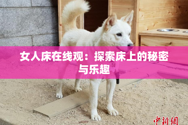 女人床在线观：探索床上的秘密与乐趣
