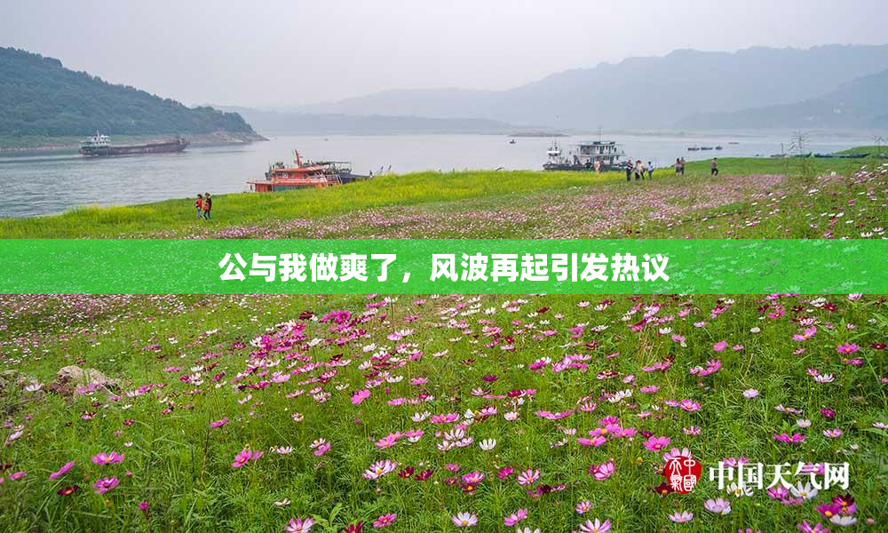 公与我做爽了，风波再起引发热议