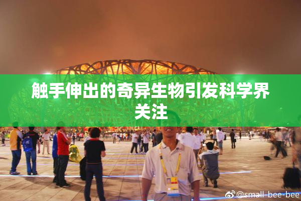触手伸出的奇异生物引发科学界关注