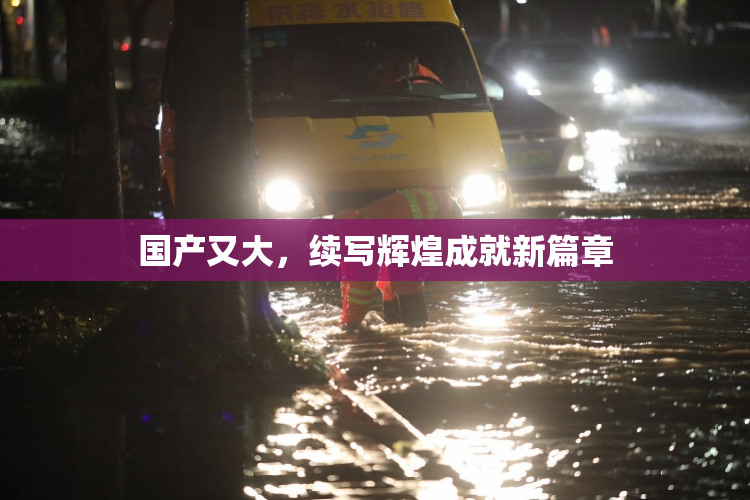 国产又大，续写辉煌成就新篇章