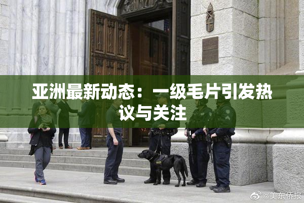 亚洲最新动态：一级毛片引发热议与关注
