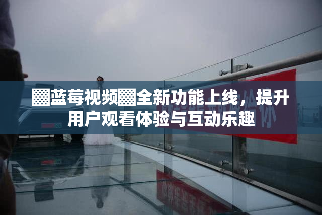 ▓蓝莓视频▓全新功能上线，提升用户观看体验与互动乐趣
