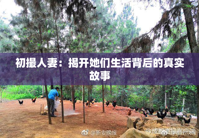 初撮人妻：揭开她们生活背后的真实故事