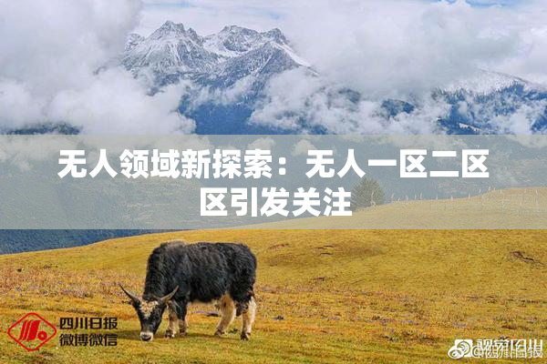 无人领域新探索：无人一区二区区引发关注