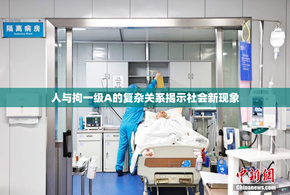 人与拘一级A的复杂关系揭示社会新现象