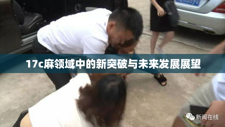 17c麻领域中的新突破与未来发展展望