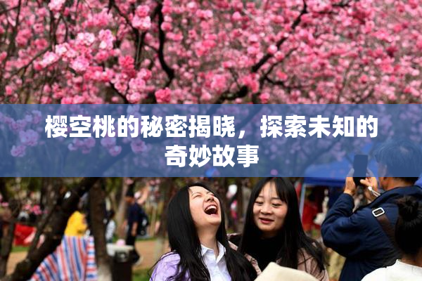 樱空桃的秘密揭晓，探索未知的奇妙故事