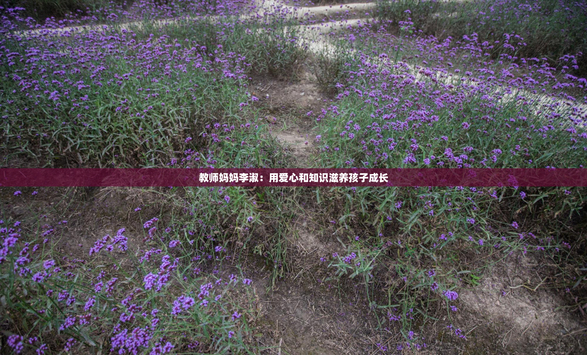 教师妈妈李淑：用爱心和知识滋养孩子成长