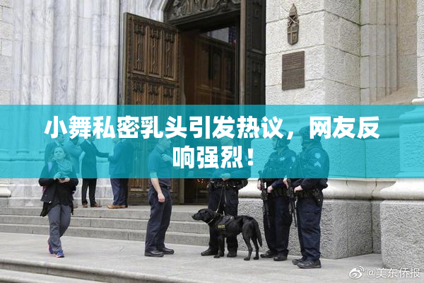小舞私密乳头引发热议，网友反响强烈！