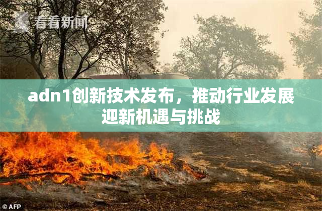 adn1创新技术发布，推动行业发展迎新机遇与挑战