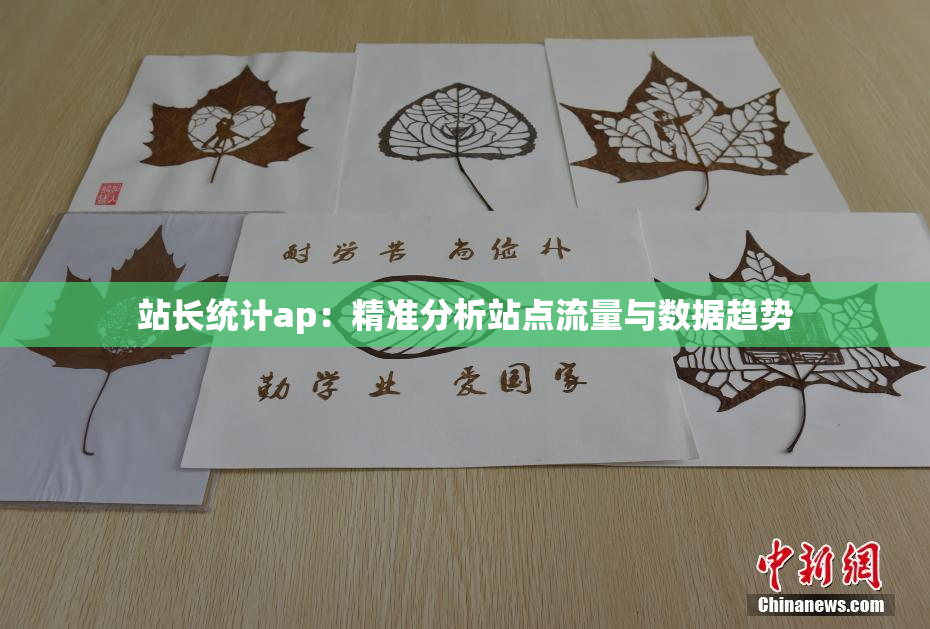 站长统计ap：精准分析站点流量与数据趋势