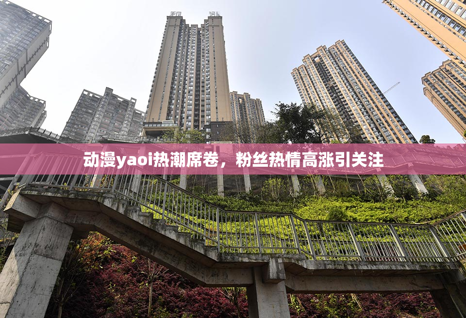 动漫yaoi热潮席卷，粉丝热情高涨引关注