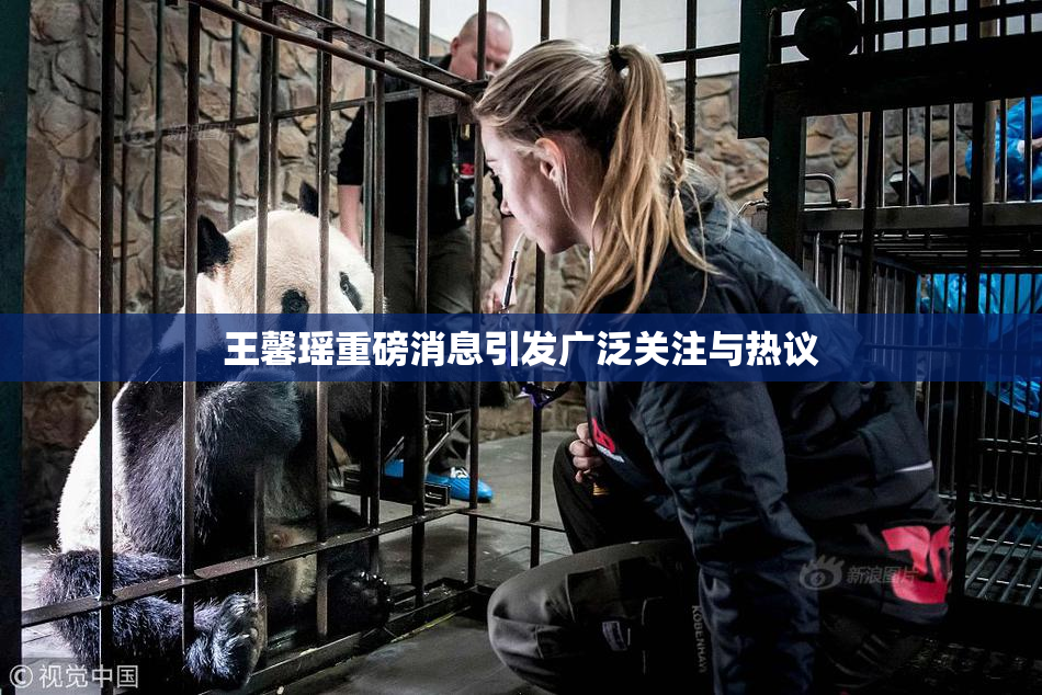 王馨瑶重磅消息引发广泛关注与热议