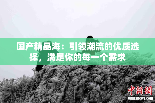 国产精品海：引领潮流的优质选择，满足你的每一个需求