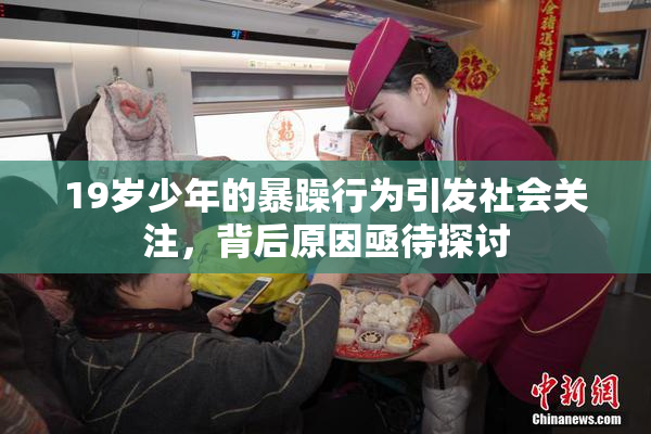 19岁少年的暴躁行为引发社会关注，背后原因亟待探讨