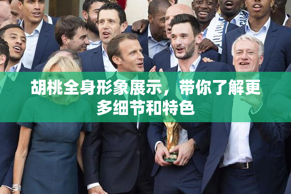 胡桃全身形象展示，带你了解更多细节和特色